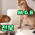 해피캣콘1