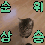 해피캣콘3