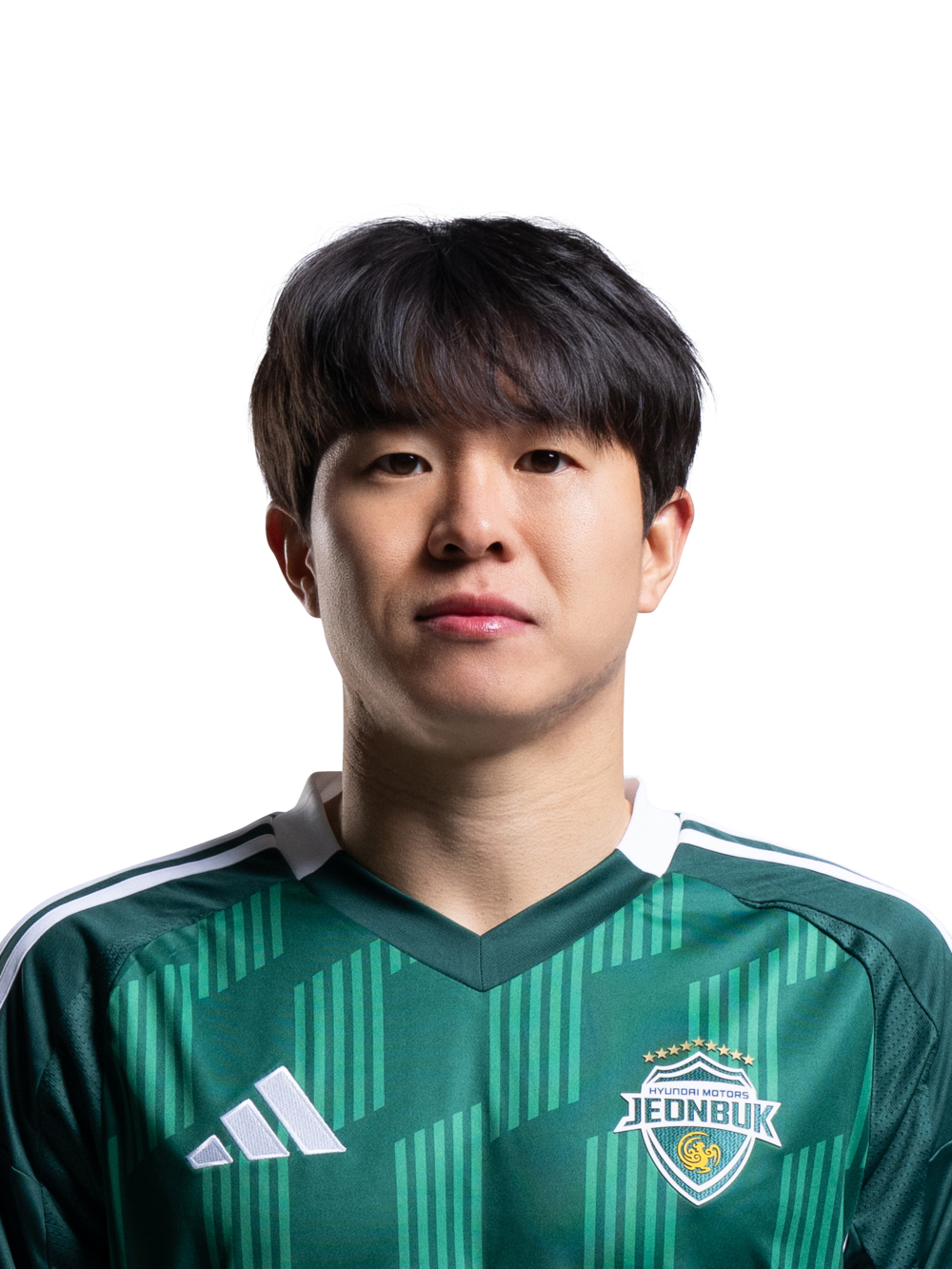 player_20130108.png
