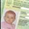 구스타보 딸 여권사진